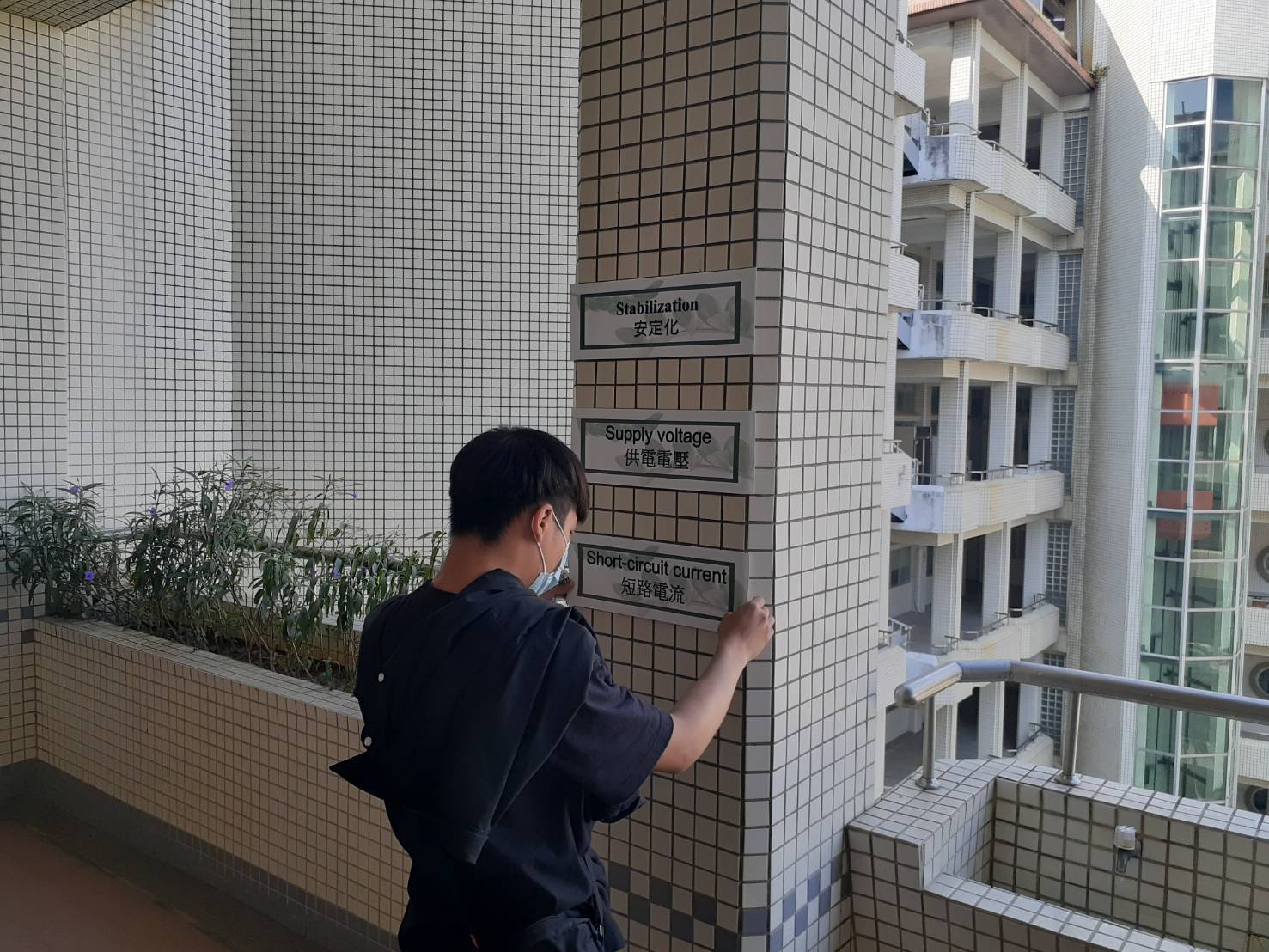 情6