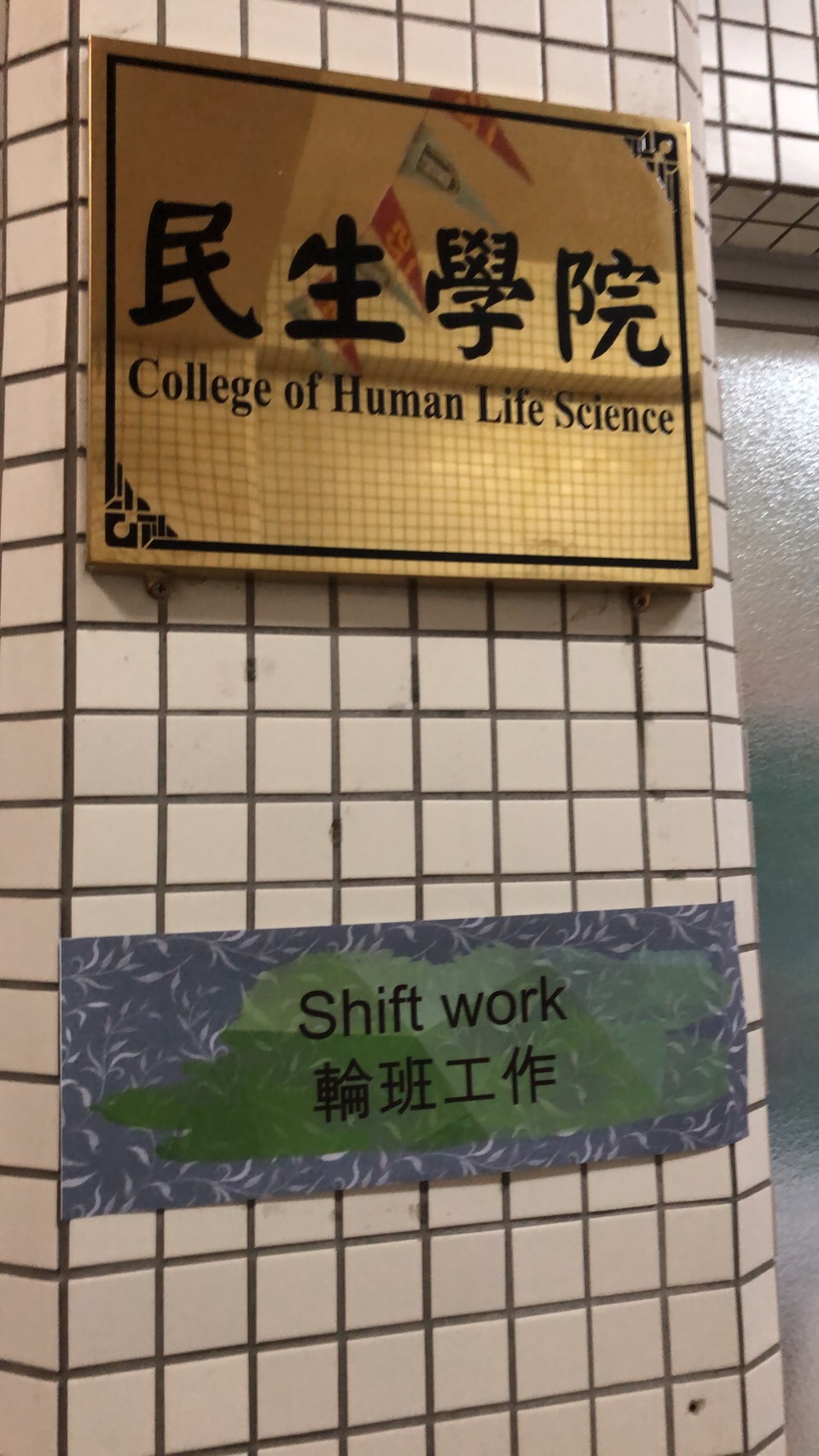 情8